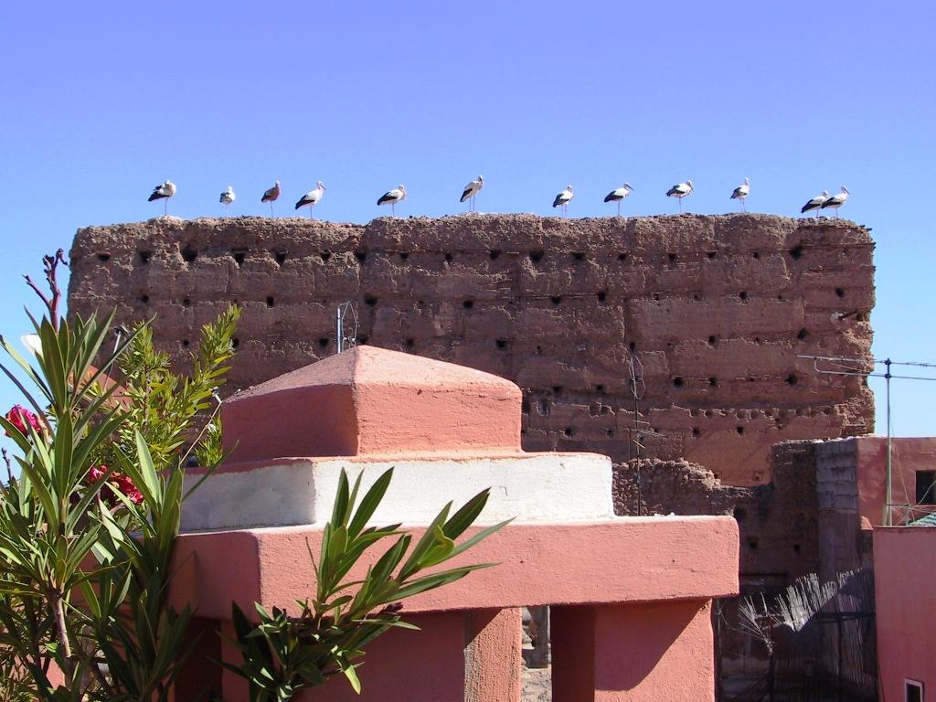 Riad El Farah Kasbah Marrakesh Eksteriør billede